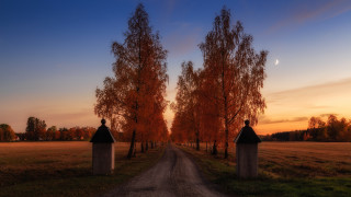 Dirt road autumn moon forest - a dirt road free wallpaper