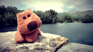 Stuffed animal rock river trees - stuffed free wallpaper