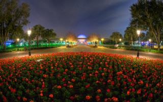 Flower garden night lights building - pixar and disney animation free wallpaper for desktop