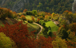 Lush green hillside dirt road 2 - a lush green hillside free wallpaper