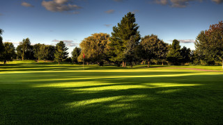 Green field trees blue sky - a green field free wallpaper