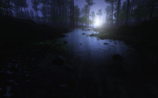 Dark forest stream night foggy - a stream free wallpaper