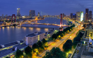 Tokyo cityscape night bridge river 3 - the building and the water free wallpaper