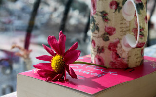 Pink book flower coffee mug - a flower free wallpaper