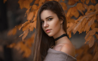 Elina karimova autumn leaves long - a picture in front free wallpaper for desktop