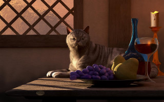 Cat table fruit candle wine - ultra realistic digital art free wallpaper