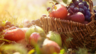 Basket apples grapes grass sunlight - sunlight free wallpaper