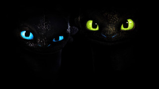 Glowing blue eyes black cat - a black cat free wallpaper