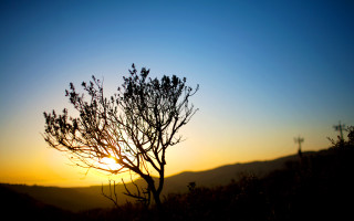 Sunset mountain silhouette autumn forest - a sunset in the background free wallpaper
