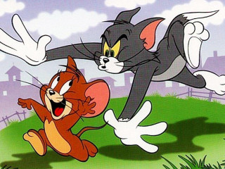 Cartoon cat mouse fighting field 2 - pixar and disney animation free wallpaper