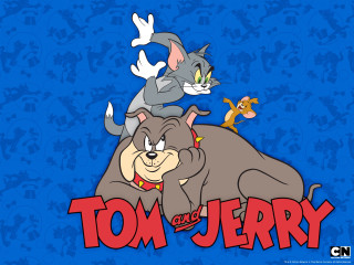 Tom jerry cat dog furry - loony toon free wallpaper