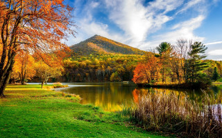 Lake trees mountain blue sky - asher brown durand free wallpaper