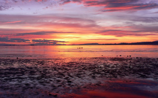 Sunset boat clouds beach city - a few bird free wallpaper