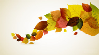 Colorful fall leaves border floral - colorful free wallpaper