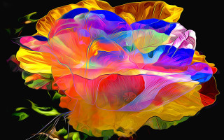 Colorful flower black background digital - this image free wallpaper