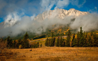 Mountain forest sunset ocean blue - a matte painting free wallpaper