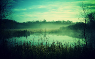 Lake fog forest night mountain - volumetric fog free wallpaper