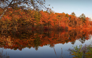 Lake autumn leaves mountains blue - a lake free wallpaper