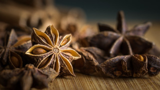 Star anise macro blur bokeh - boetius adamsz bolswert free wallpaper