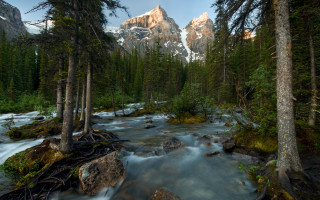 Forest mountain river waterfall nature - a stream free wallpaper