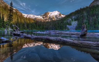 Mountain lake fallen tree snowy - fallen free wallpaper