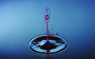 Water droplet flower center blue - a single flower free wallpaper