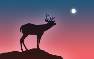 Deer silhouette hill sunset moon - the moon in the background free wallpaper