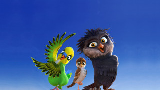 Birds hill blue sky flying - a group of birds free wallpaper