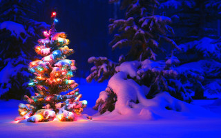 Christmas tree lit snow blue - naive free wallpaper