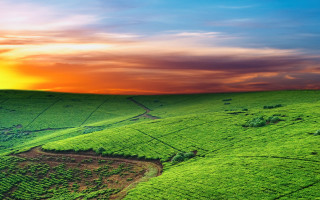 Green field sunset clouds horizon - chris labrooy free wallpaper
