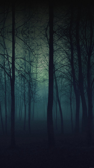 Dark forest fog night full - free halloween wallpaper