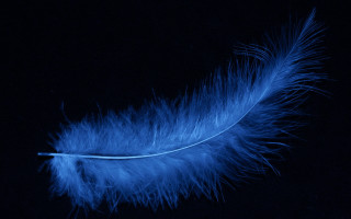 Blue feather night sky fireworks - an gyeon free wallpaper for desktop