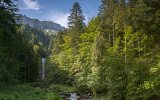 Lush forest stream waterfall mountain - a stream free wallpaper
