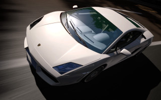 White sports car street forest - road free wallpaper