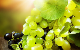 Grapes leaves wooden table outdoors - a leafy plant free wallpaper