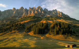 Mountain house grassy field trees - a grassy field below free wallpaper