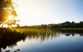 Lake sunset autumn tiltshift forest - the water and trees free wallpaper