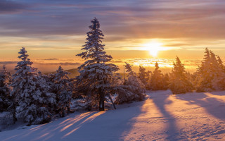 Sunset snowy mountain trees sky - a sunset over a snowy mountain free wallpaper