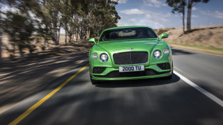 Green bentley road trees forest - tree and a forest in the background free wallpaper