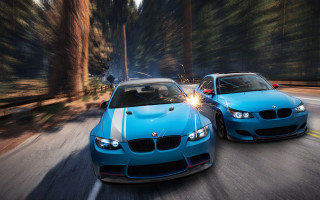Two cars driving forest night - a forest background free wallpaper