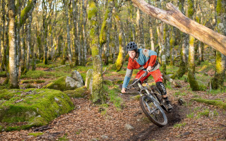 Forest trail bicycle mossy trees - brian chippy dugan free wallpaper