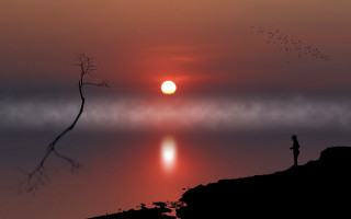 Hill overlooking water sunset birds - arthur pan free wallpaper