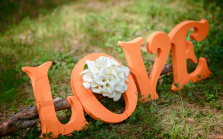 Wooden sign love flowers forest - a branch of a tree free wallpaper