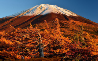 Mountain autumn leaves fire sky - peak in the background free wallpaper
