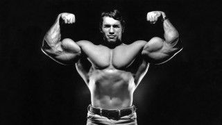 Muscular man arnold sculpture greyscale - a muscular body free wallpaper