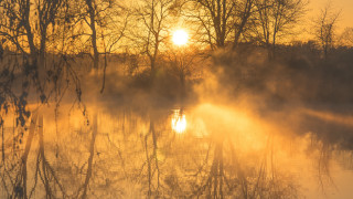 Lake fog trees sunset volumetric - tree and fog in the background free wallpaper