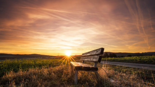 Sunset bench field road lake - a sunset in the background free wallpaper