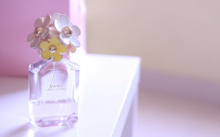 Perfume bottle flowers table pink - a bottle of perfume free wallpaper