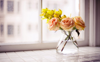 Vase flower bouquet window building - a building in the background free wallpaper
