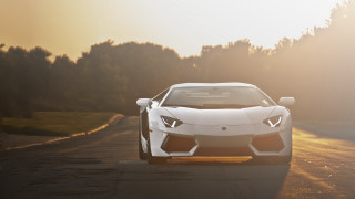 White sports car road trees 3 - a sunbeam free wallpaper